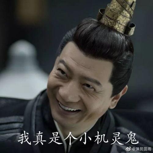 王启年的表情包