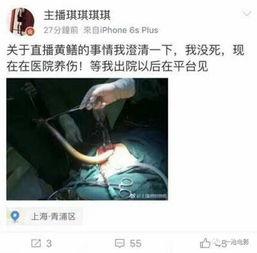 女主播黄鳝完整版,揭秘网络直播的黑暗面